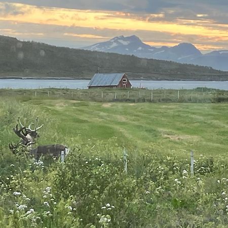 Hos Laura & Valdemar Villa Nord-Lenangen Luaran gambar
