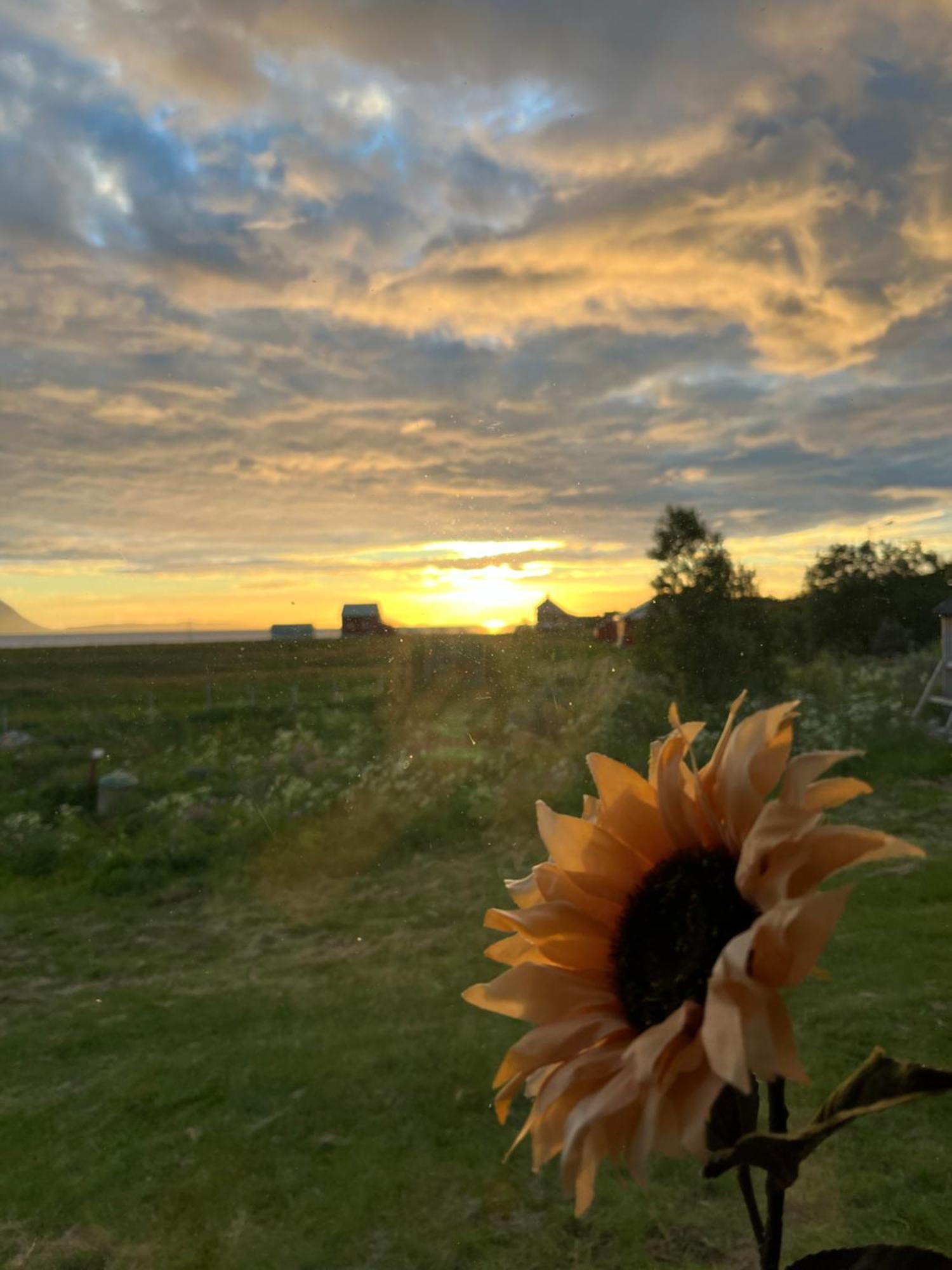 Hos Laura & Valdemar Villa Nord-Lenangen Luaran gambar