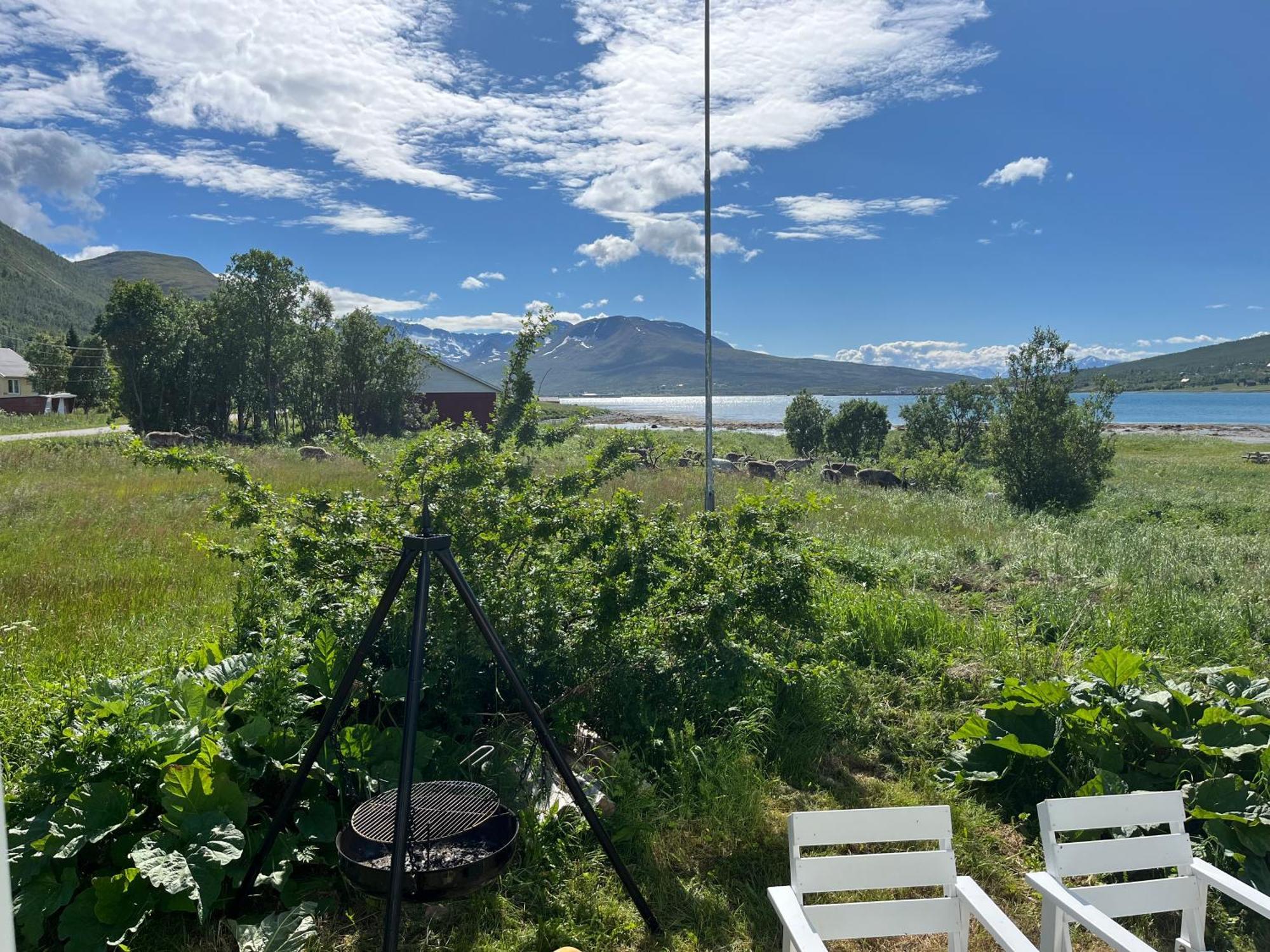 Hos Laura & Valdemar Villa Nord-Lenangen Luaran gambar